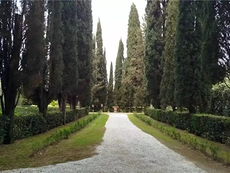 Immagine 10 di Villa in affitto  a Scandicci