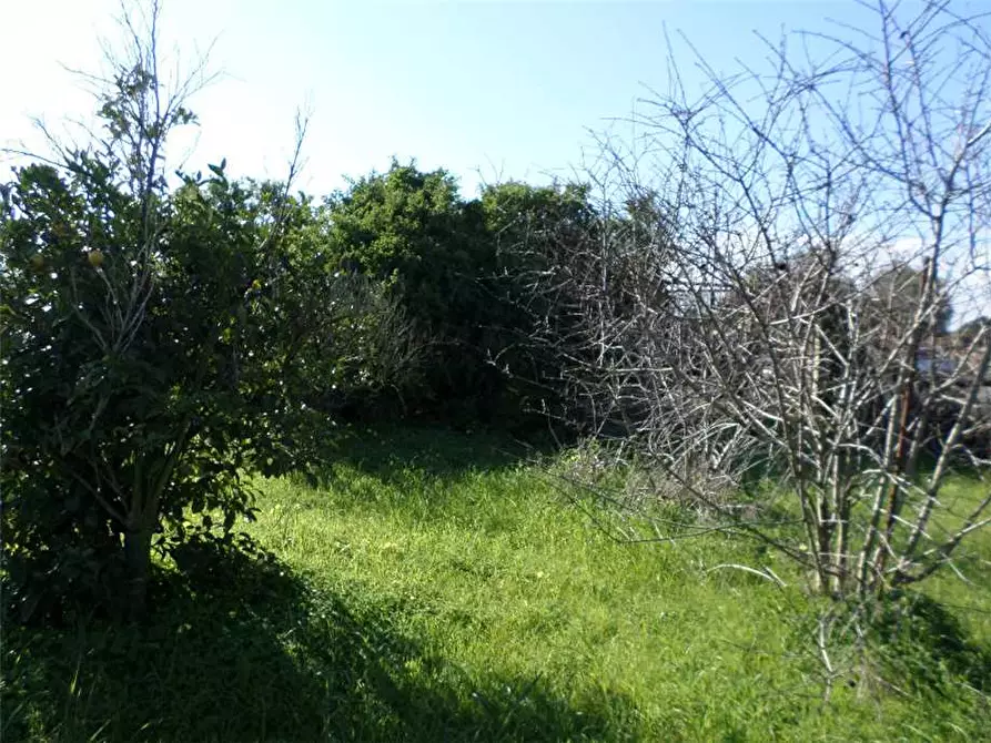 Immagine 7 di Terreno in vendita  in Via Canadesus a Assemini