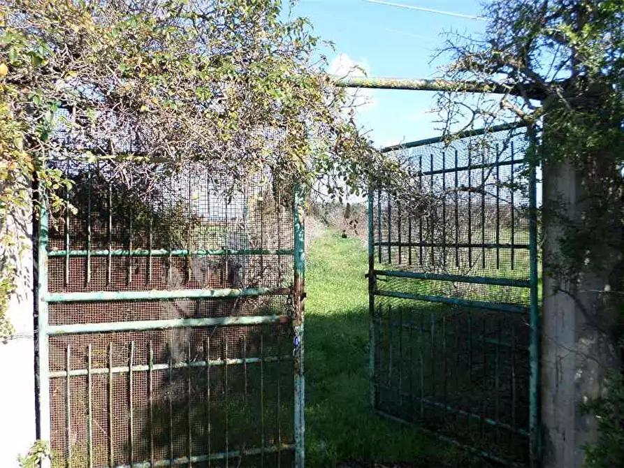 Immagine 8 di Terreno in vendita  in Via Canadesus a Assemini