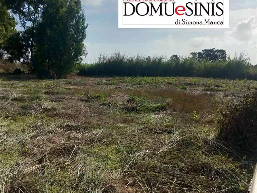 Immagine 7 di Terreno in vendita  a Nurachi