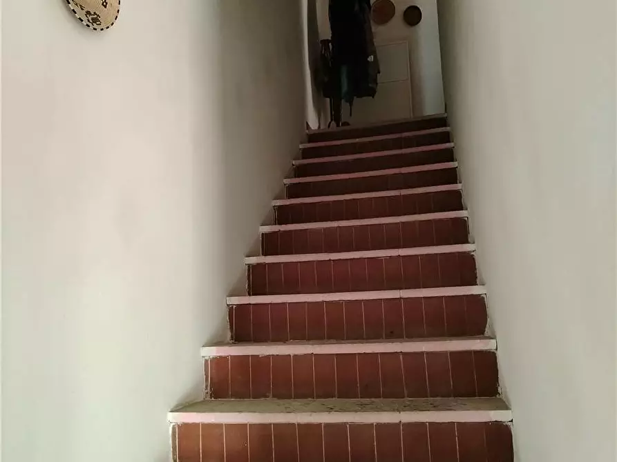 Immagine 11 di Villa in vendita  a San Vero Milis