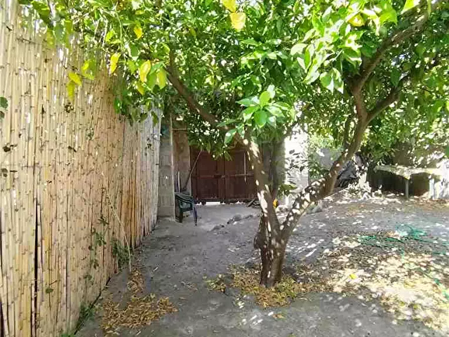 Immagine 8 di Villa in vendita  a Riola Sardo