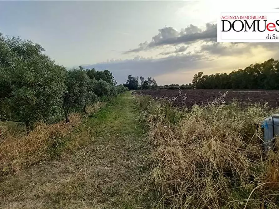 Immagine 12 di Terreno in vendita  a Milis