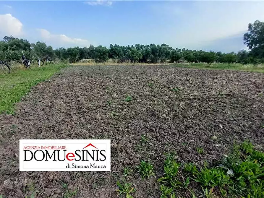 Immagine 16 di Terreno in vendita  a Milis