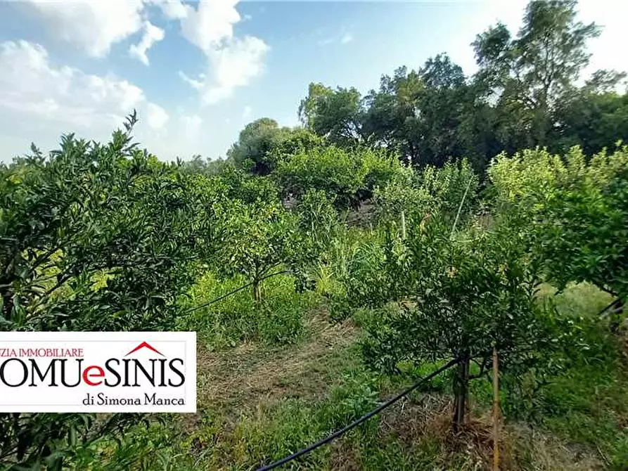Immagine 6 di Terreno in vendita  a Milis