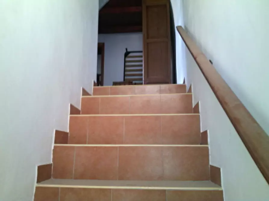 Immagine 8 di Villa in vendita  a Canosa Di Puglia