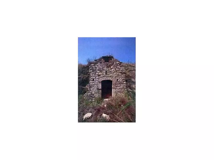 Immagine 7 di Terreno in vendita  a Barile