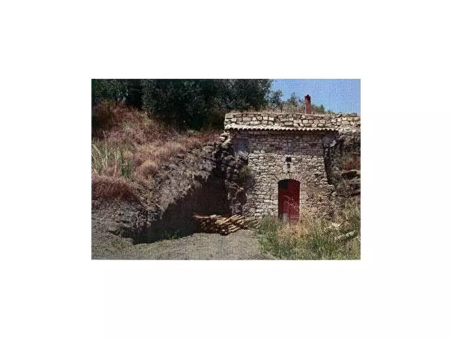 Immagine 8 di Terreno in vendita  a Barile
