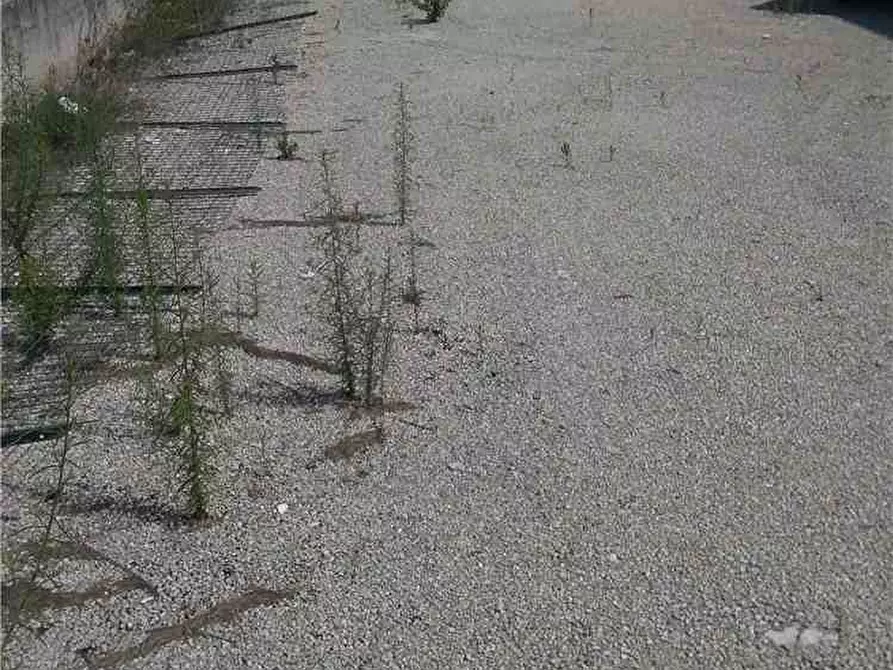 Immagine 7 di Capannone industriale in vendita  a Latina