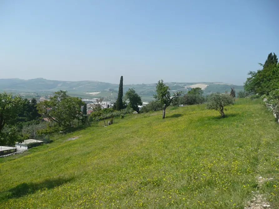 Terreno in vendita a Tregnago
