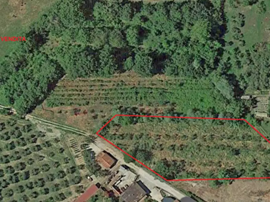 Terreno in vendita in via monte bianco a Torrita Di Siena