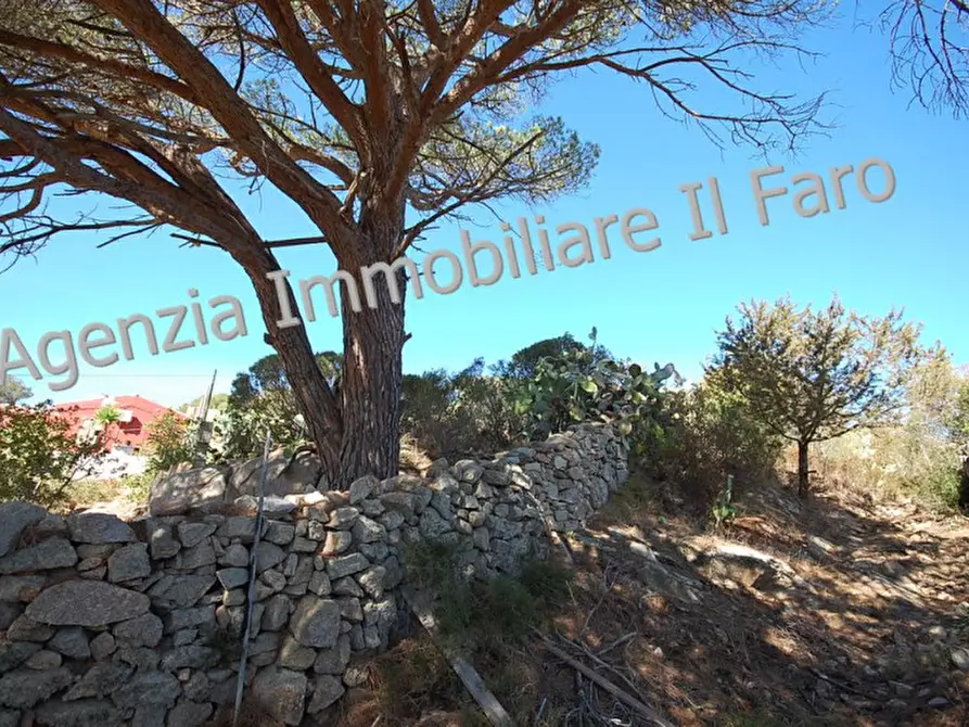 Terreno in vendita in Regione Punta Villa a La Maddalena