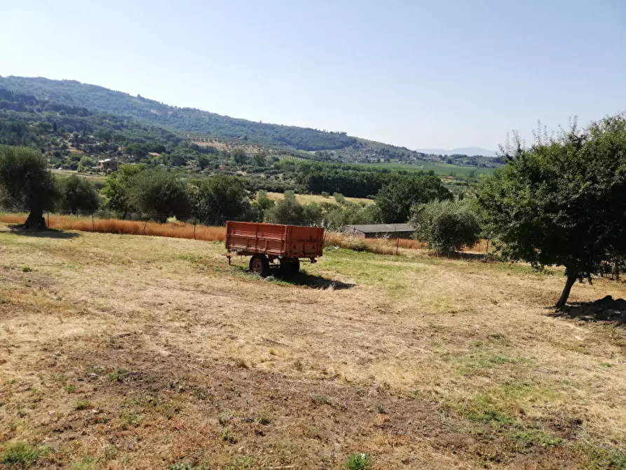 Terreno in vendita in Località Pischiello a Passignano Sul Trasimeno