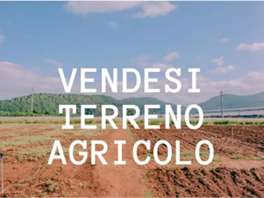 Terreno in vendita in via s. brigida a Vedelago