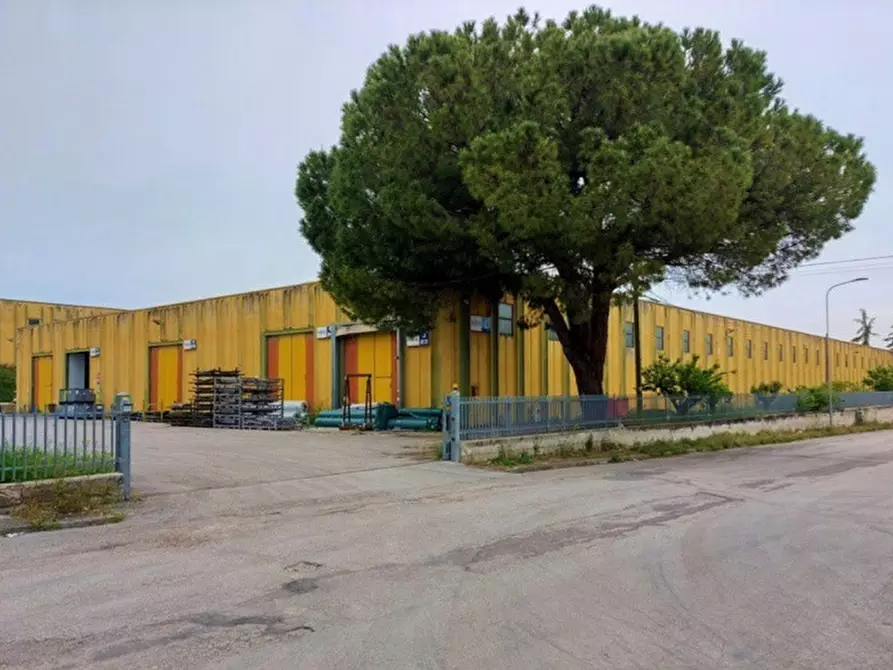 Capannone industriale in vendita in Via Cassolo, N. 10-12 a Monsano