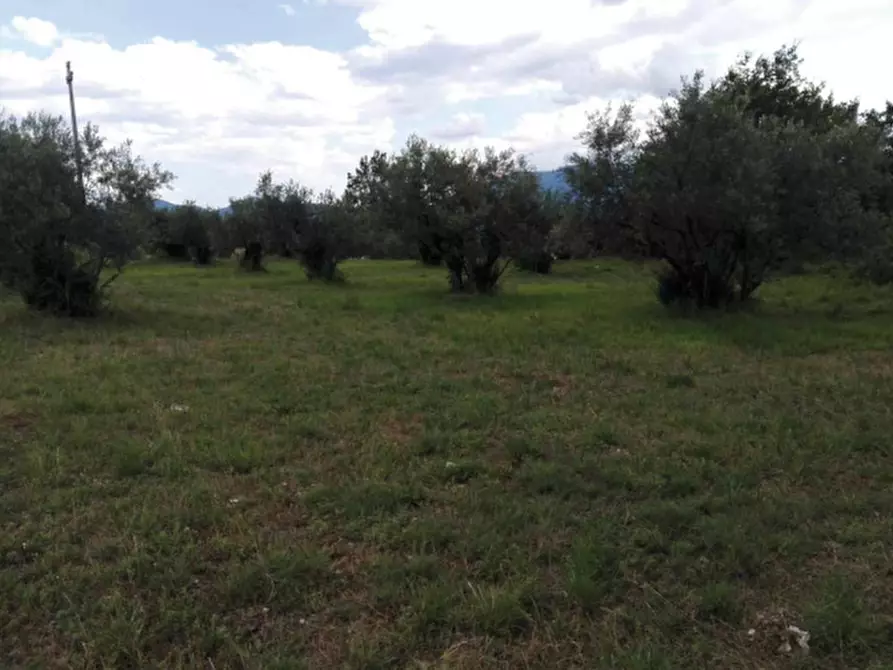 Terreno in vendita in Località Ponte di Tolle a San Donato Val Di Comino