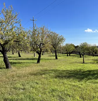 Terreno in vendita in Contrada Bochini a Avola