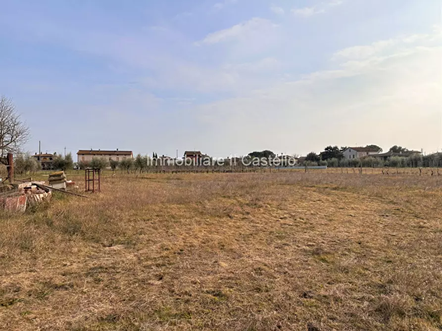 Terreno in vendita in Località Vitellino a Castiglione Del Lago