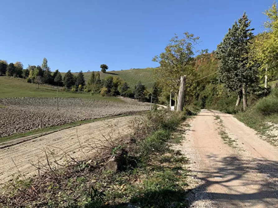 Terreno in vendita in Località Monte Martello, Strada Pigno, N. snc a Cagli