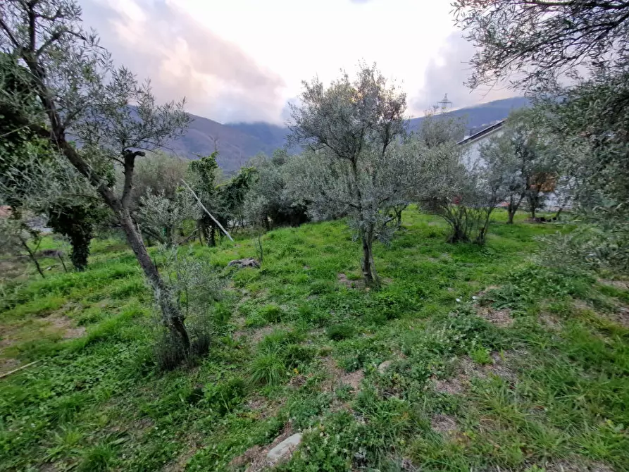 Terreno in vendita in Via S. Margherita a Vado Ligure