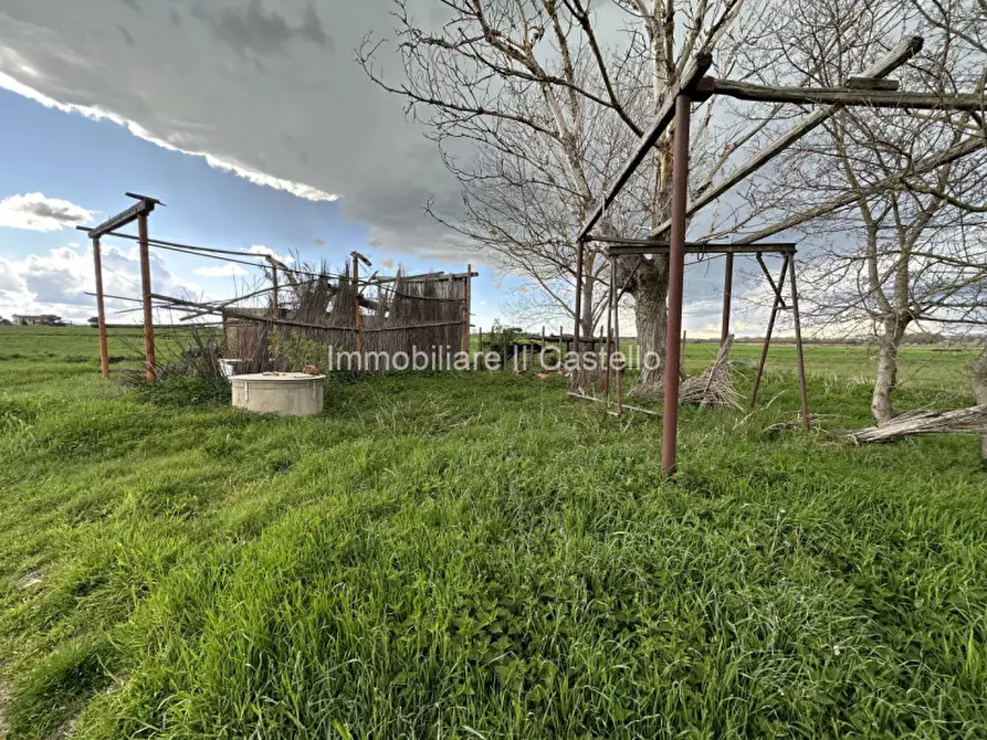 Terreno in vendita a Castiglione Del Lago