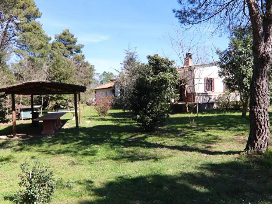 Casa indipendente in vendita in SP 329 Passo di Bocca di Valle a Monteverdi Marittimo