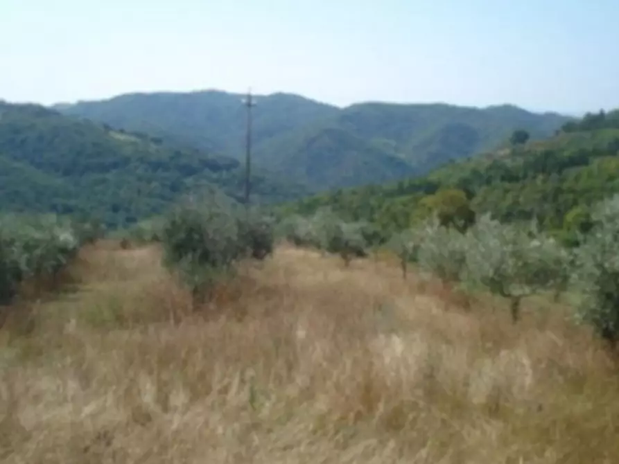 Terreno in vendita in Località Collevecchio, N. snc a Citta' Di Castello