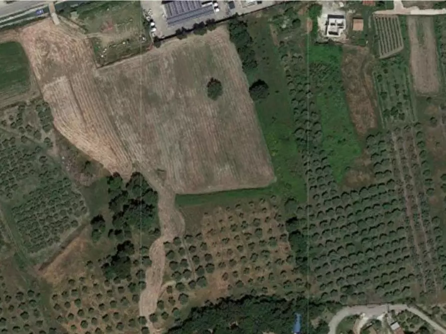 Terreno in vendita in Località Tempa S.Paolo, Via Feudo La Pila, N. snc a Capaccio Paestum