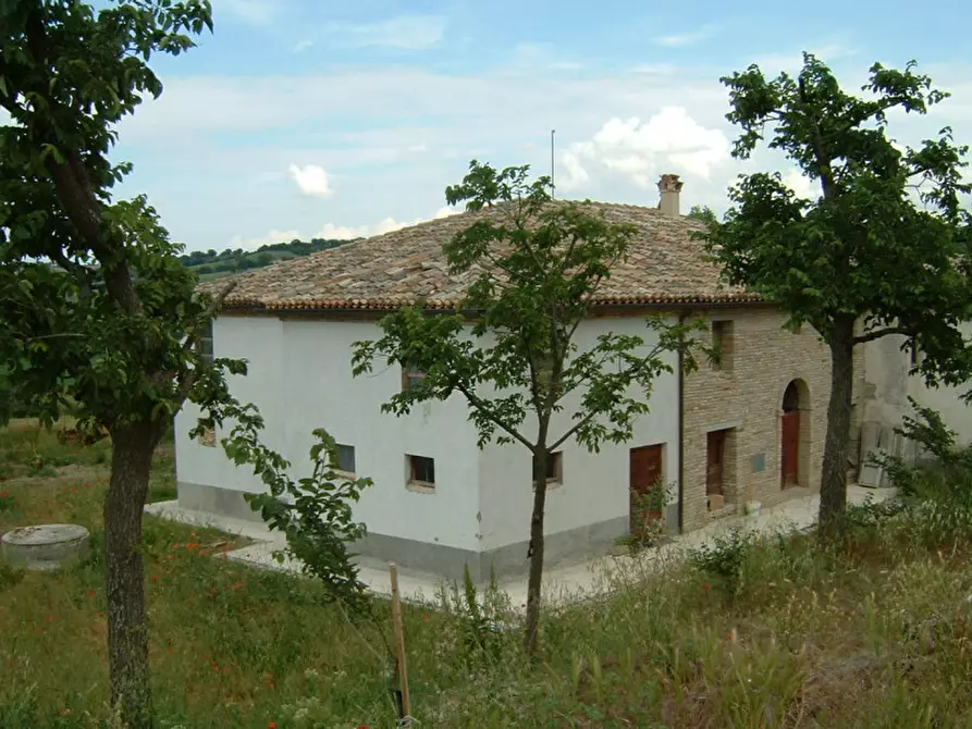 Immagine 2 di Rustico / casale in vendita  a Corinaldo