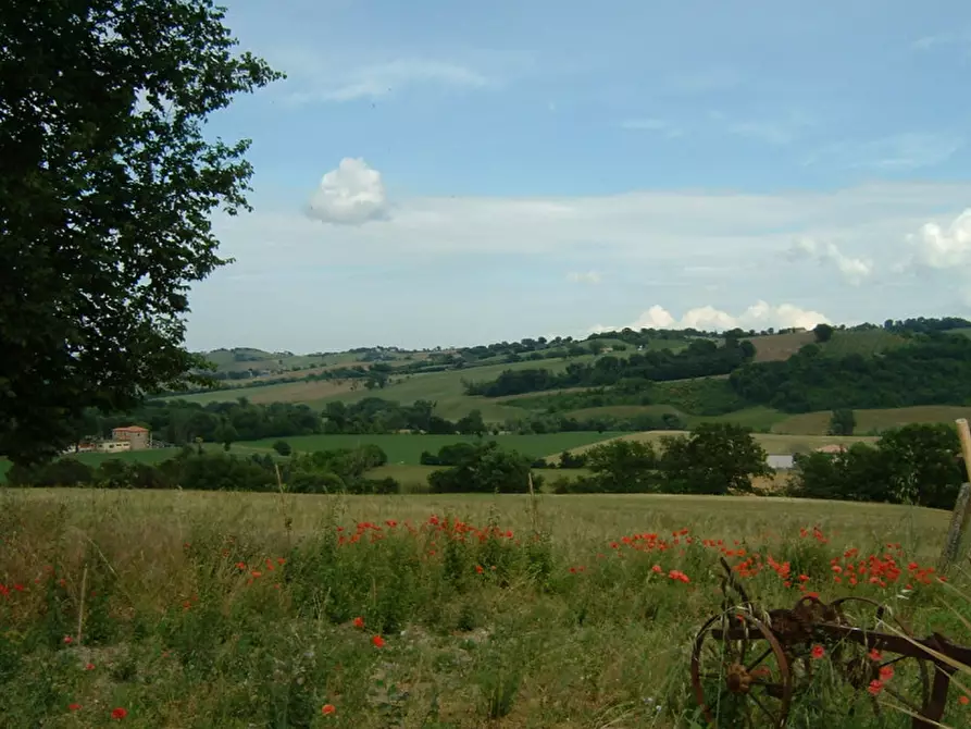 Immagine 10 di Rustico / casale in vendita  a Corinaldo