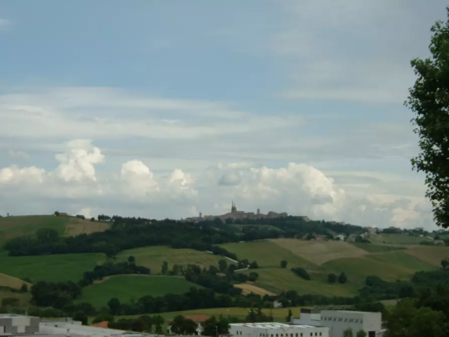 Immagine 11 di Rustico / casale in vendita  a Corinaldo