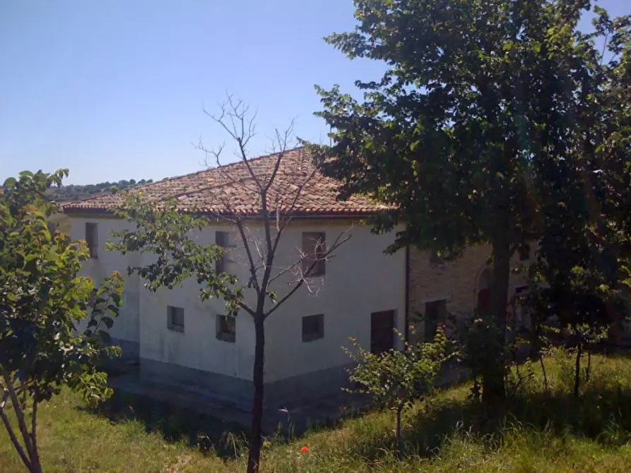 Immagine 14 di Rustico / casale in vendita  a Corinaldo