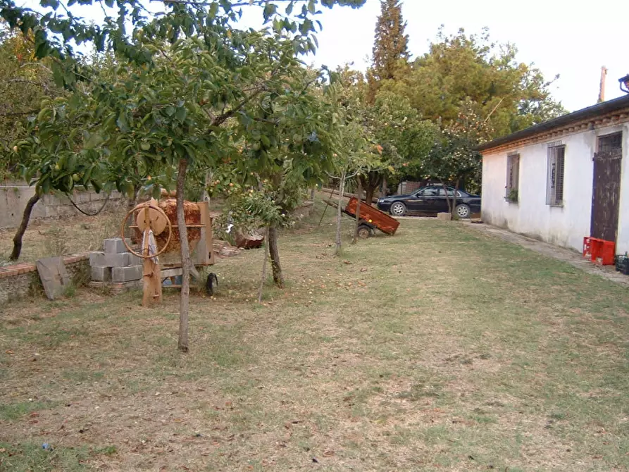 Immagine 8 di Casa indipendente in vendita  a Senigallia