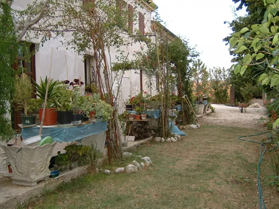 Immagine 9 di Casa indipendente in vendita  a Senigallia