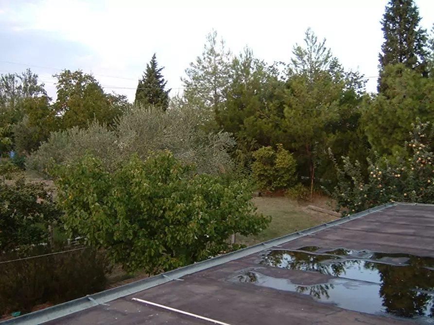 Immagine 15 di Casa indipendente in vendita  a Senigallia