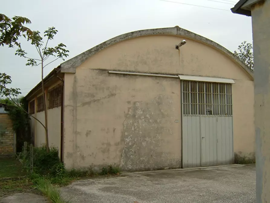 Immagine 2 di Casa indipendente in vendita  a Trecastelli