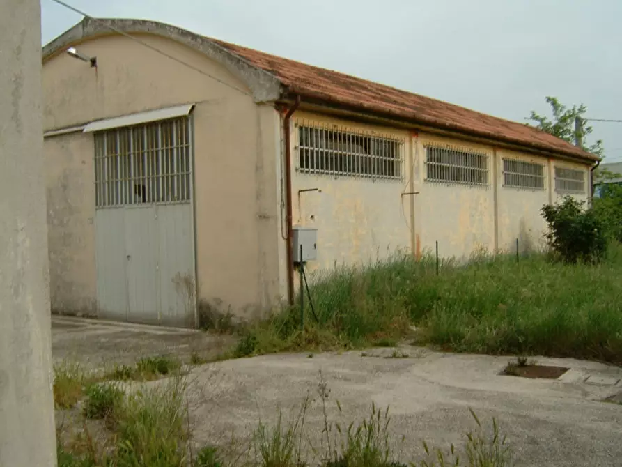 Immagine 3 di Casa indipendente in vendita  a Trecastelli