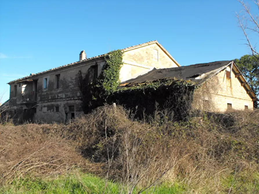 Immagine 5 di Rustico / casale in vendita  a Senigallia