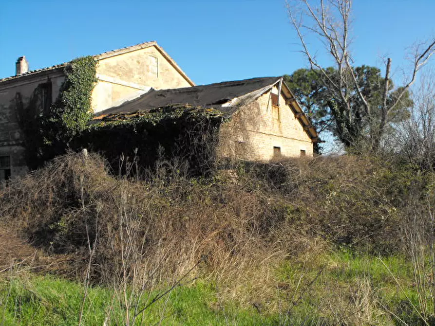 Immagine 7 di Rustico / casale in vendita  a Senigallia