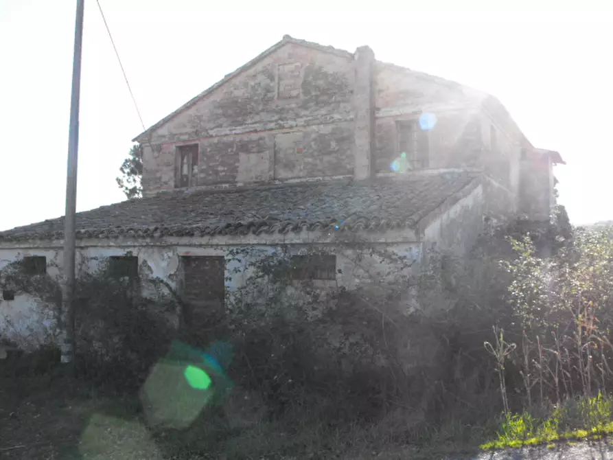 Immagine 13 di Rustico / casale in vendita  a Senigallia