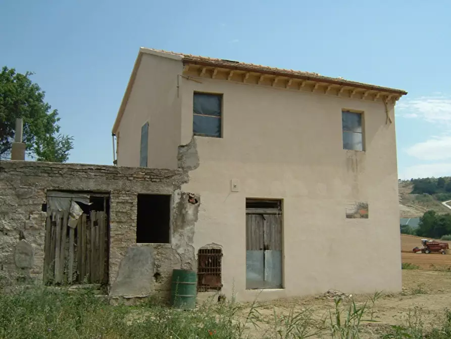Immagine 3 di Rustico / casale in vendita  a Trecastelli