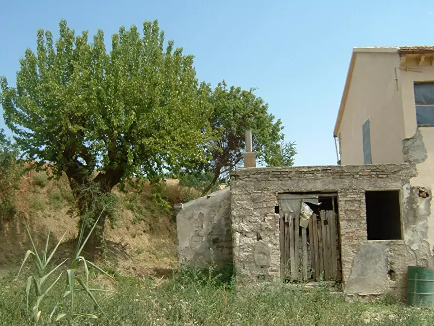 Immagine 4 di Rustico / casale in vendita  a Trecastelli