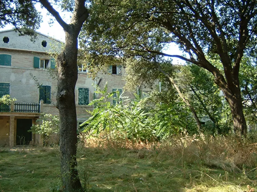 Immagine 4 di Rustico / casale in vendita  a Montemarciano