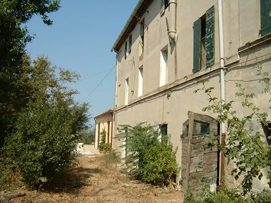 Immagine 8 di Rustico / casale in vendita  a Montemarciano