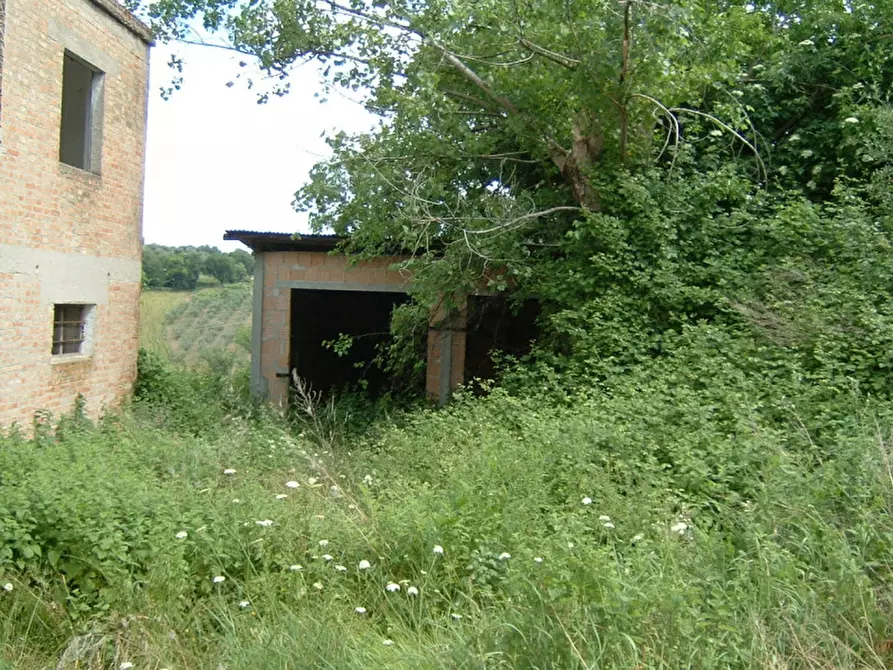 Immagine 2 di Rustico / casale in vendita  a Ostra