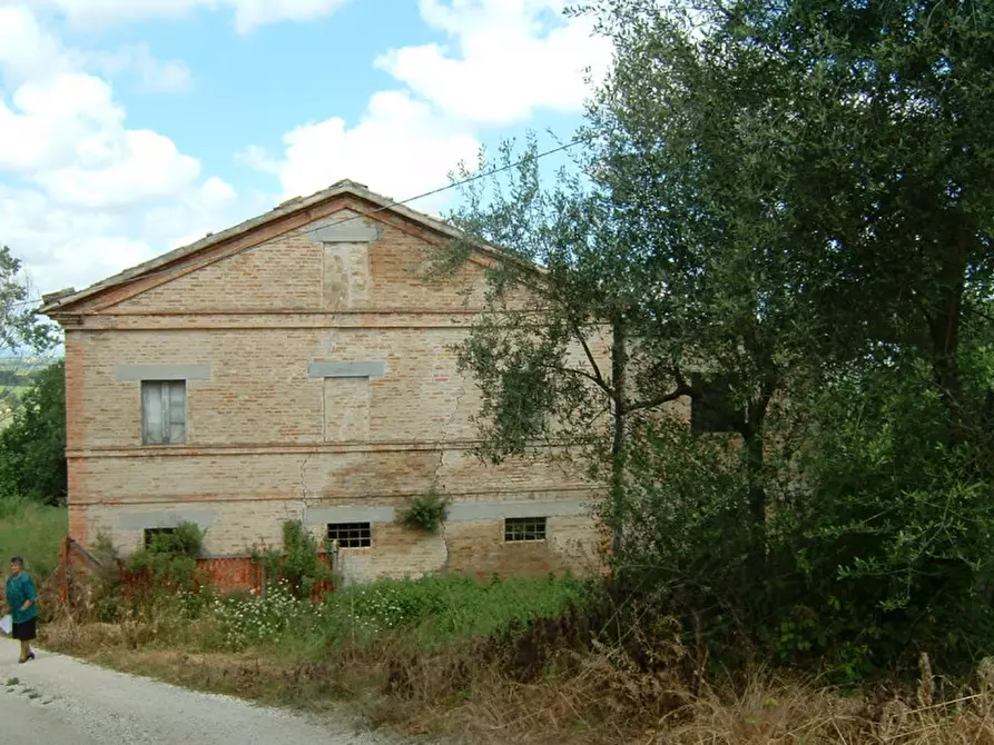 Immagine 3 di Rustico / casale in vendita  a Ostra