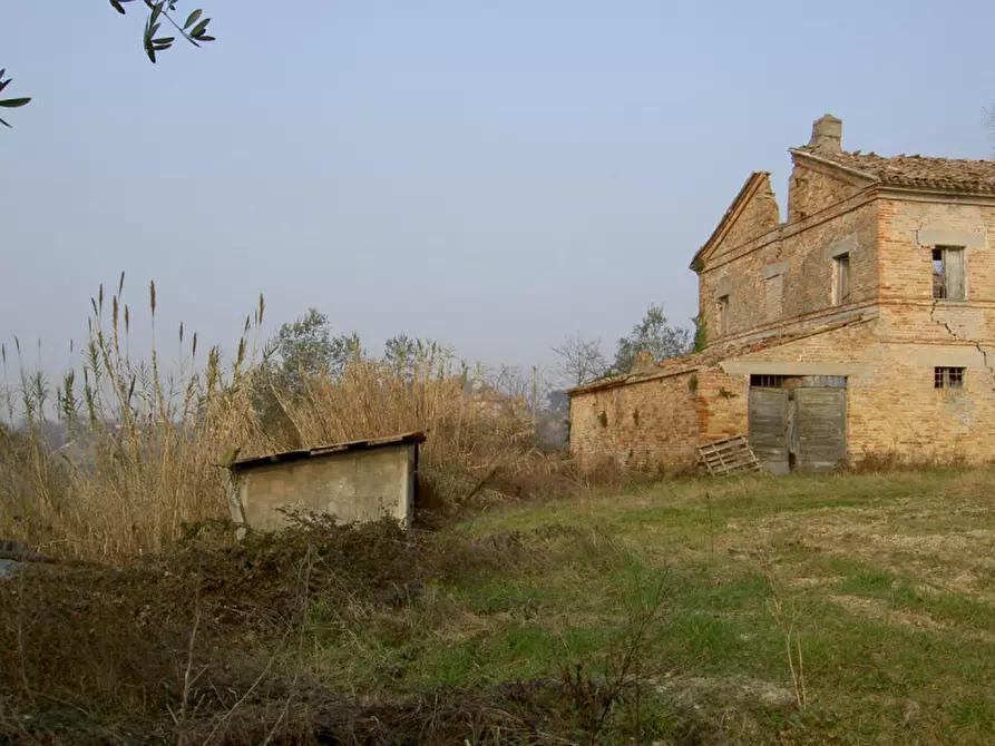 Immagine 8 di Rustico / casale in vendita  a Ostra
