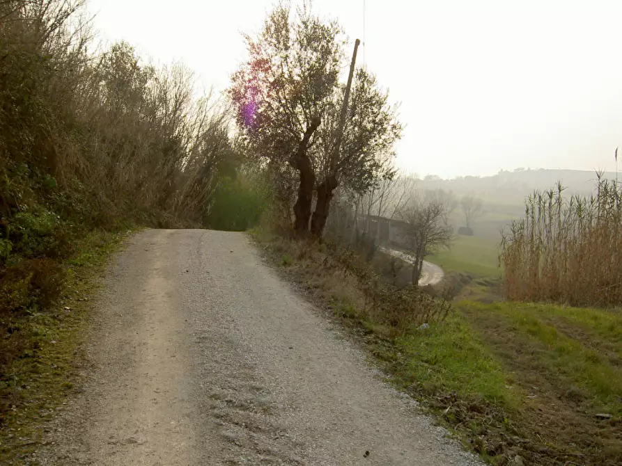 Immagine 10 di Rustico / casale in vendita  a Ostra