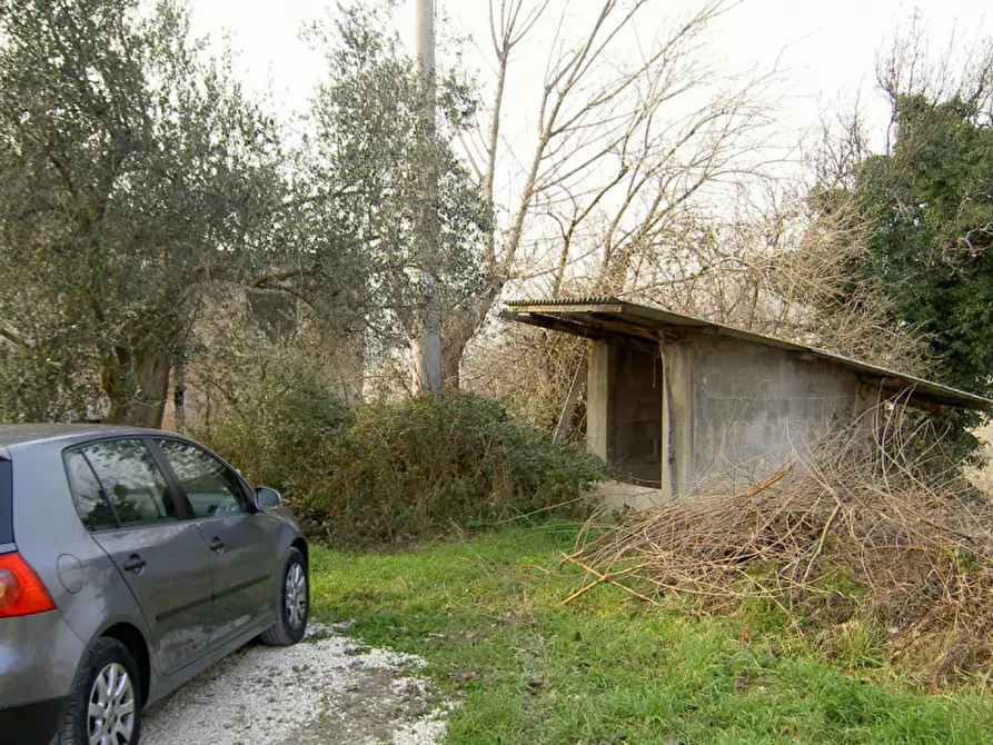 Immagine 11 di Rustico / casale in vendita  a Ostra