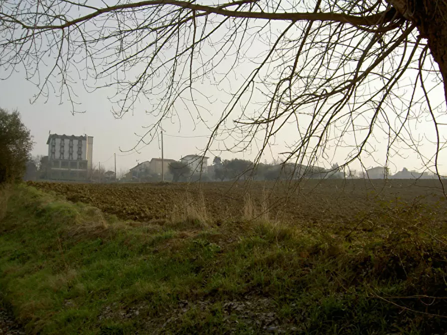 Immagine 15 di Rustico / casale in vendita  a Ostra